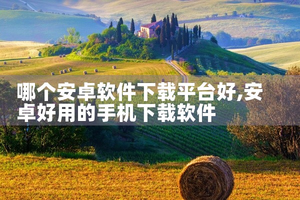 哪个安卓软件下载平台好