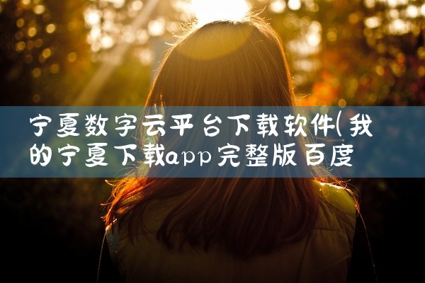 宁夏数字云平台下载软件