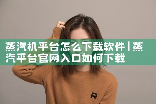 蒸汽机平台怎么下载软件
