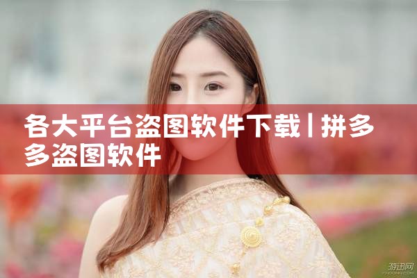 各大平台盗图软件下载
