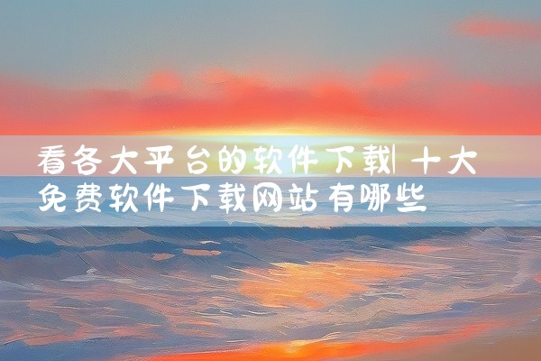 看各大平台的软件下载