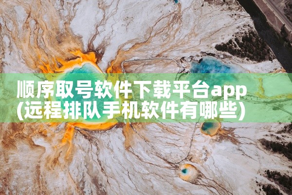 顺序取号软件下载平台app