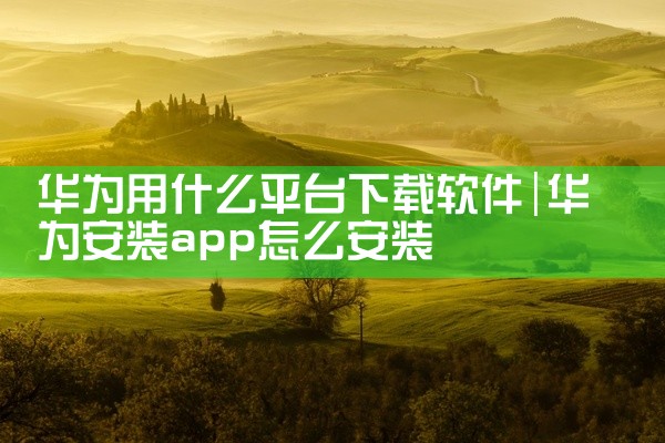 华为用什么平台下载软件
