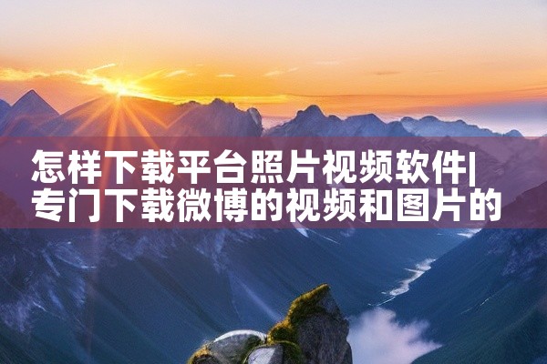 怎样下载平台照片视频软件