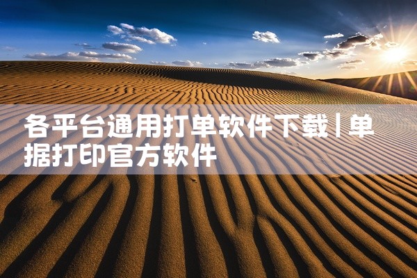 各平台通用打单软件下载