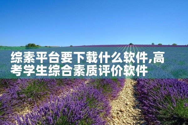 综素平台要下载什么软件