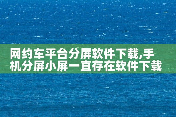 网约车平台分屏软件下载