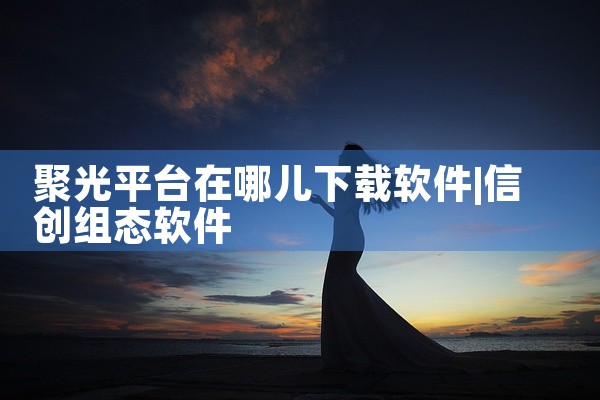 聚光平台在哪儿下载软件